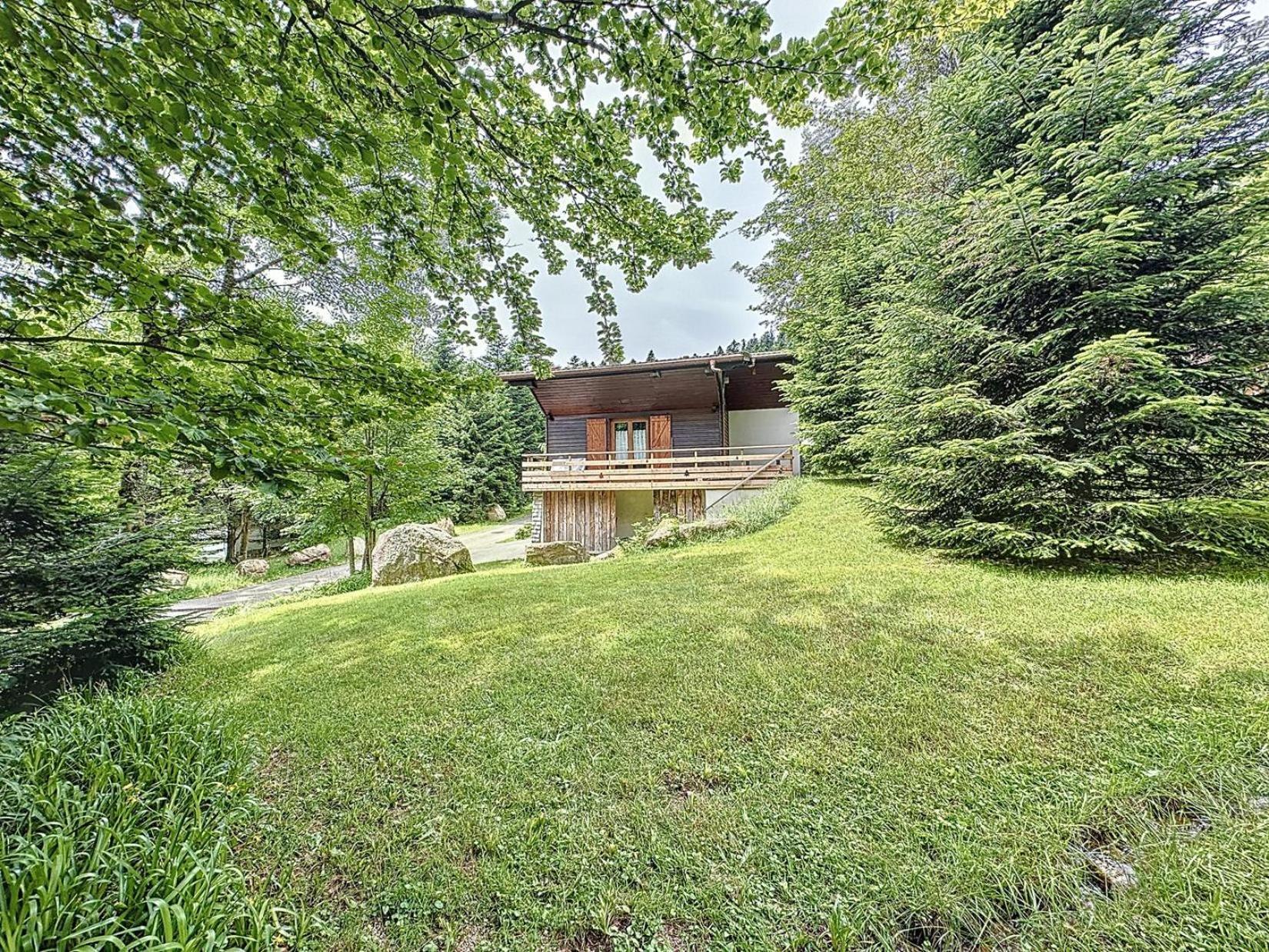 Villa Le Chalet Des Belles Roches, La Bresse Hohneck Extérieur photo